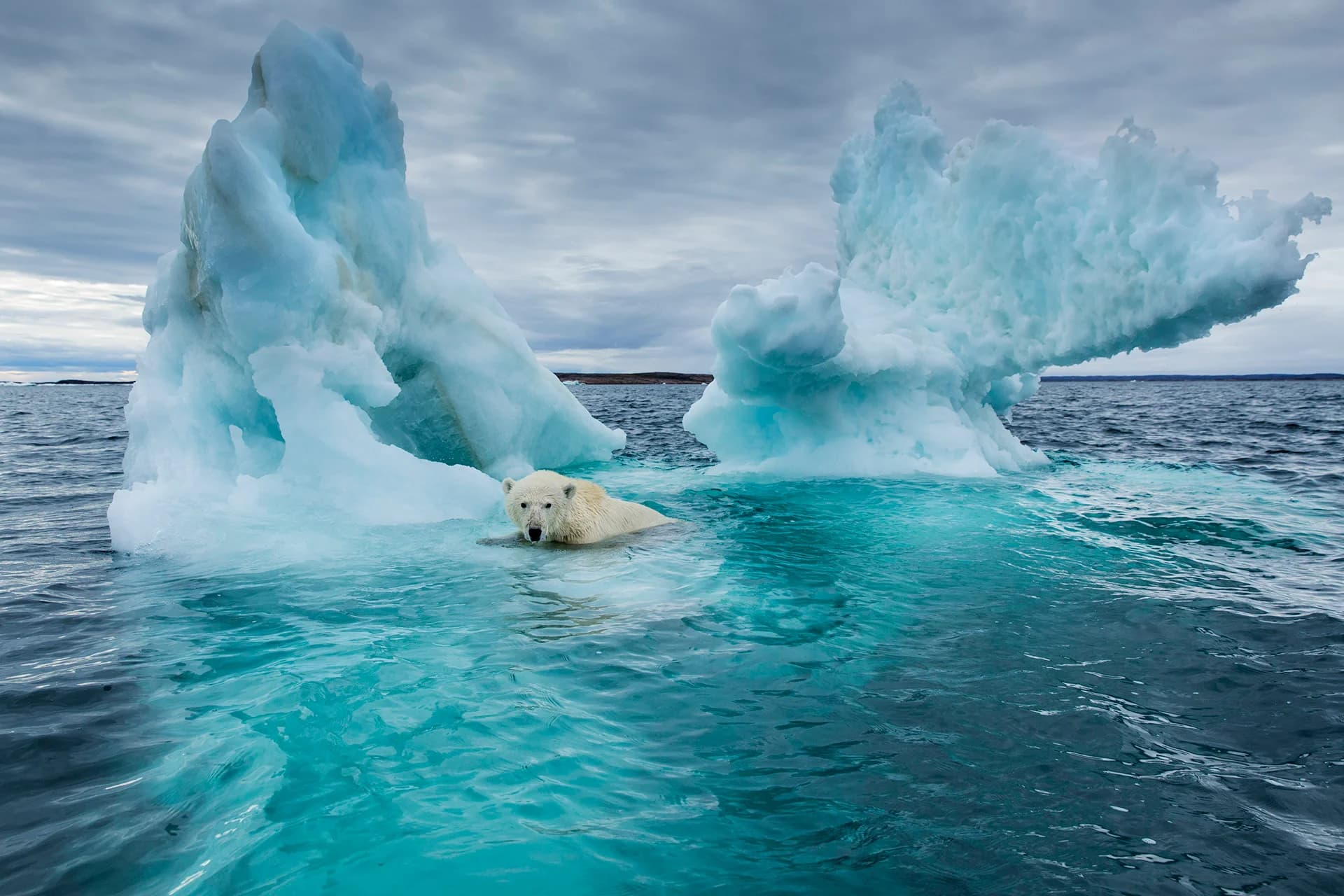 How to fight global warming? Bay Area Insights