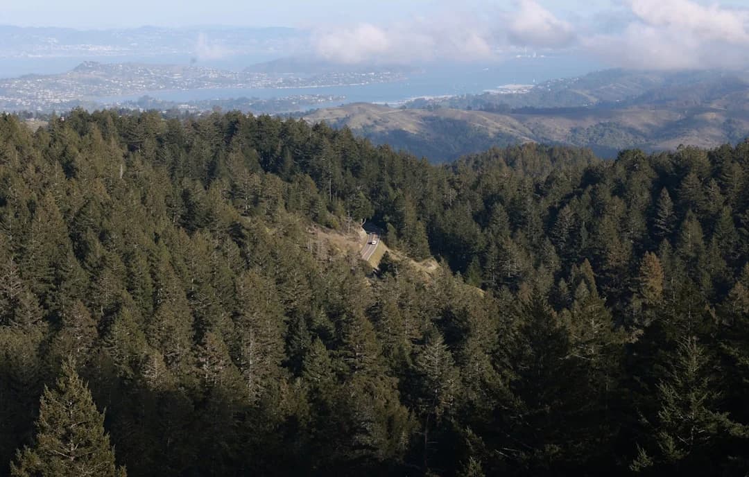 El Niño-driven Wildfire Season 2026 Bay Area Readiness