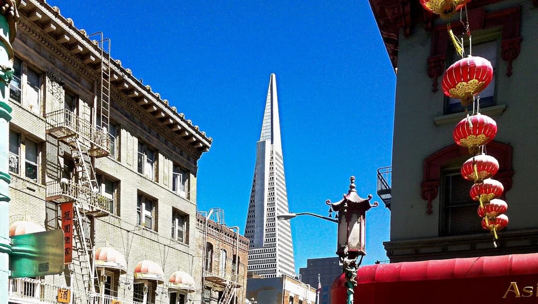 AOCA Pan-African gallery San Francisco opening 2026