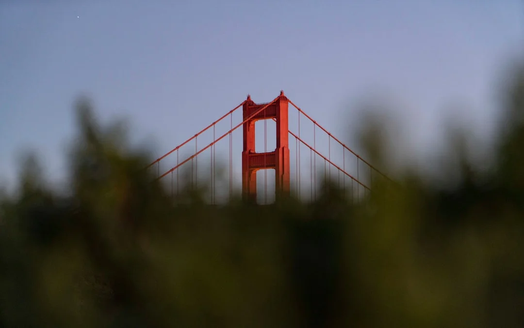La Paulée Burgundy Wine Festival SF February 2026