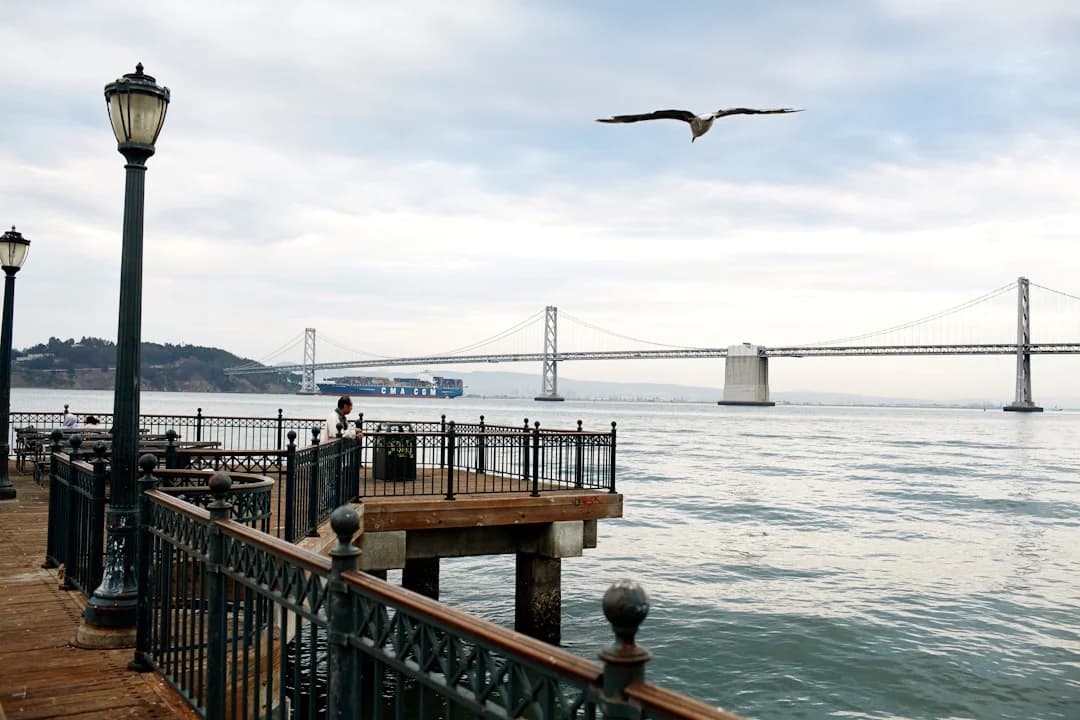 Bay Area Dining Openings 2026: a Data-Driven Pulse