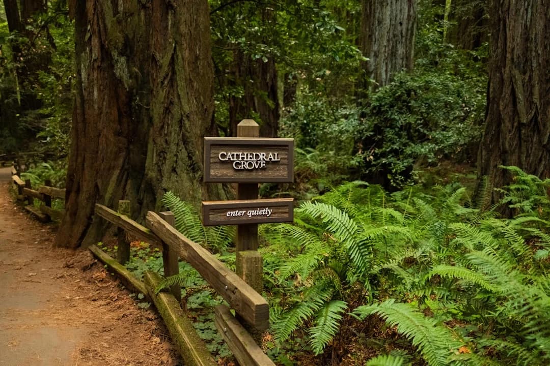 Cover Image for Bay Area Outdoor Bucket List 2026: Trails and Challenges