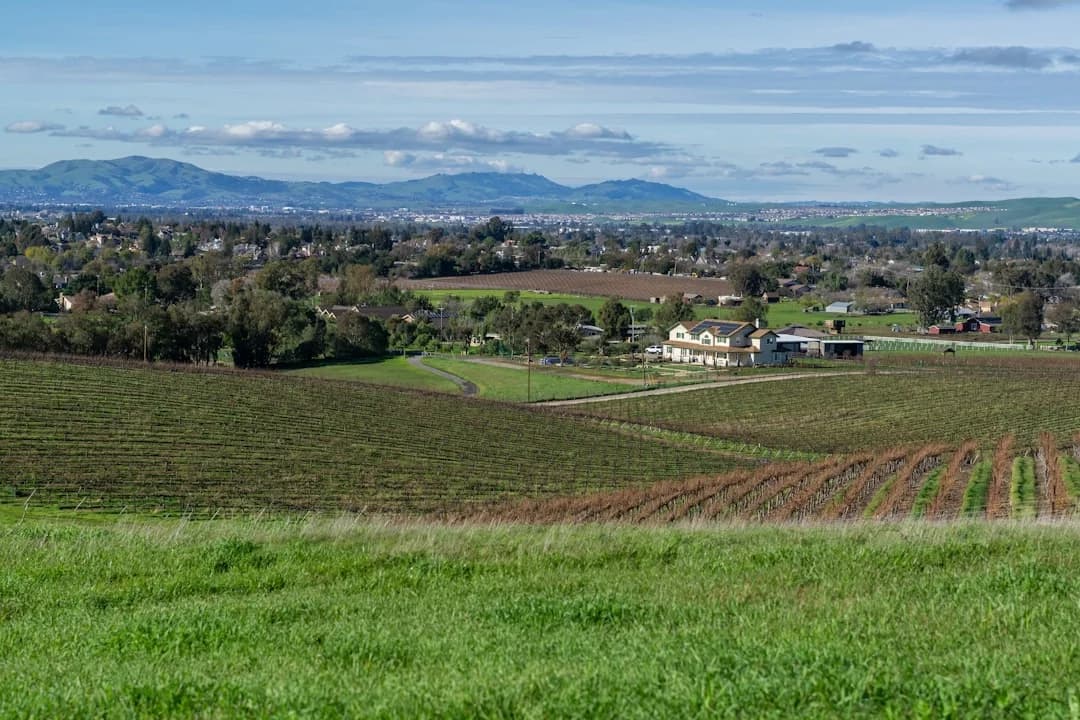 Bay Area Regenerative Agriculture at Farmers Markets 2026