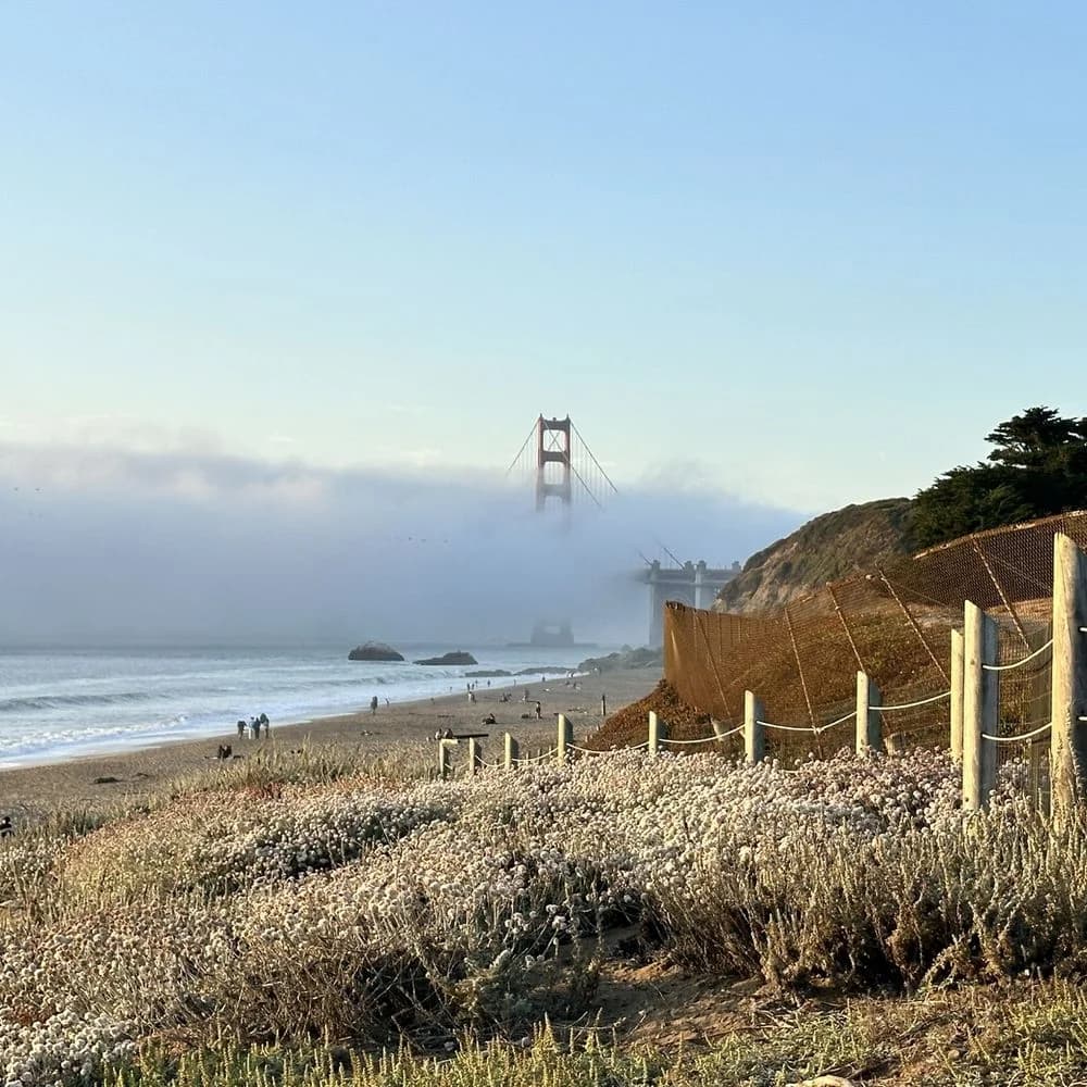 Cover Image for Ocean Beach Crowds Return Quickly After Recent Shooting