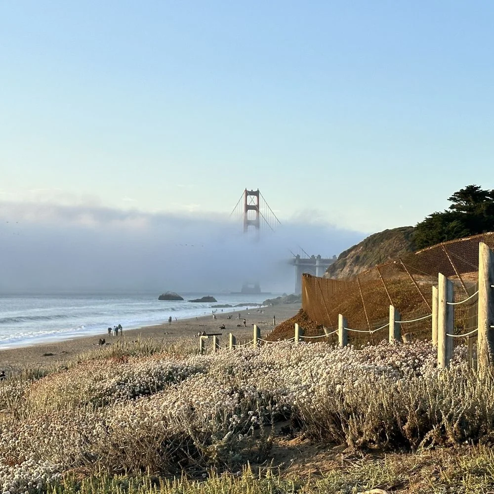 Cover Image for Ocean Beach Crowds Return Quickly After Recent Shooting