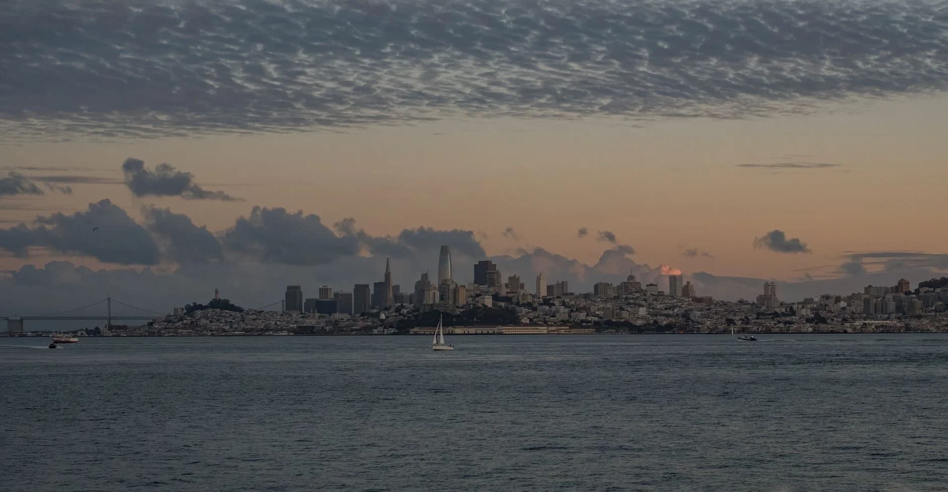 San Francisco Silicon Valley trending news 2026-02-09