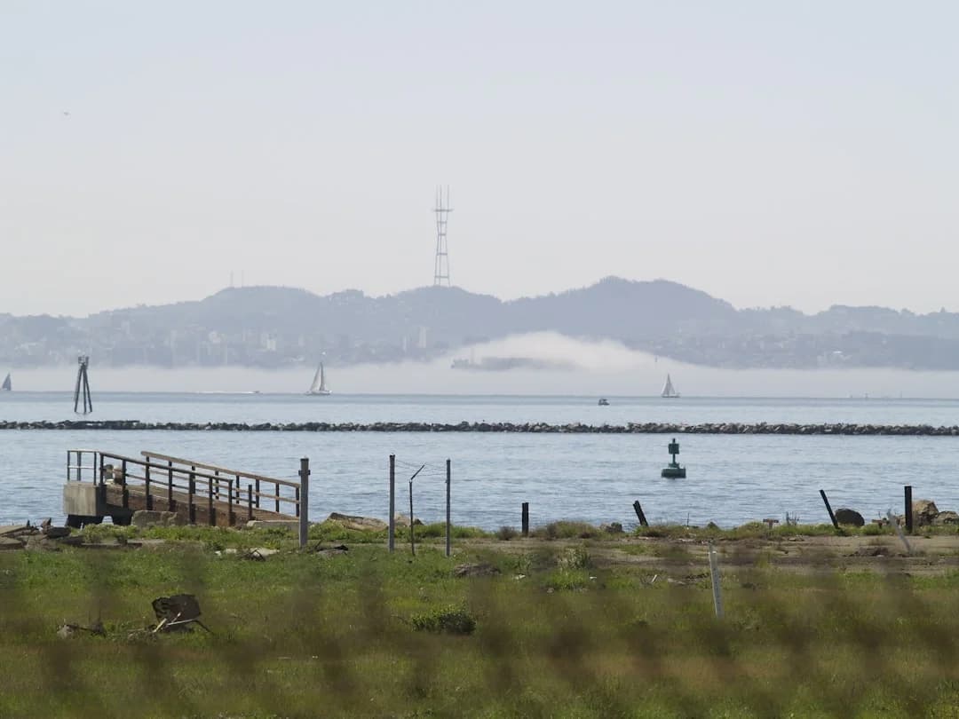 Cover Image for Outside Lands 2026 lineup Signals a Resurgent Bay Area