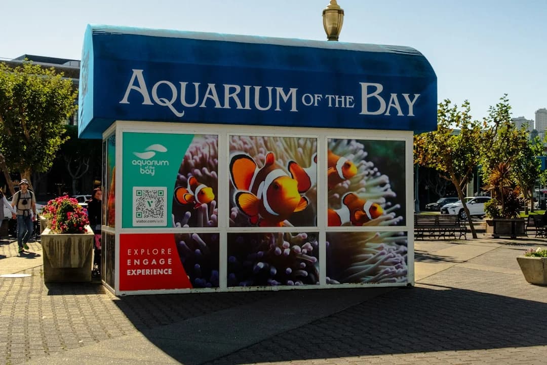 Cover Image for Bay Area dining openings February 2026 weekend getaways